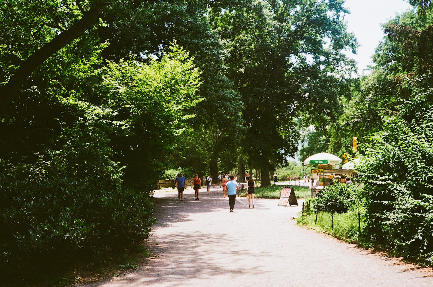 Central Park Pathways