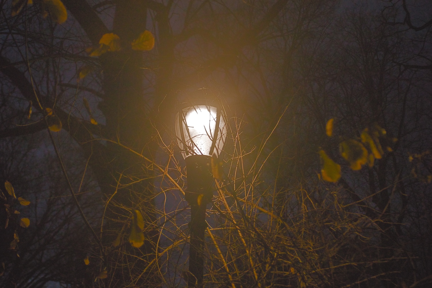 Street Light in Flushing Meadows Corona Park